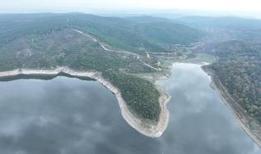 İstanbul'daki barajların doluluk oranı belli oldu