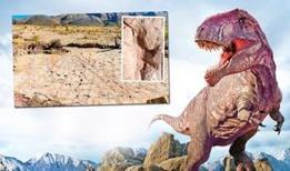 Bilim insanlarından 101 milyon yıl öncesine ait tüyler ürperten keşif! 16 bin 600 adet tespit edildi