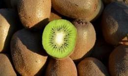 Kronik kabızlığı hafifletmenin sürpriz yolu: Kivi, maden suyu ve çavdar ekmeği