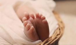 ABD araştırması: Yaygın pestisit doğum öncesi beyin gelişimini etkileyebiliyor