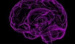 İnsan beyni yapay zekayı bilişsel esneklikle geride bırakıyor