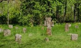 Viking mezarında gizemli tarak kabuğu bulundu