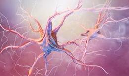 Bilim insanları çocukluk çağı demansına neden olan gen mutasyonunu çözdü