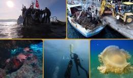 Deniz ve iç sulardan bu yıl 360 bin metrekare hayalet ağ temizlendi