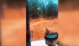 Muğla Datça'da sağanak hayatı olumsuz etkiledi: Tıkanan dere taştı... O anlar kamerada