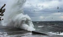 Cezayir'de şiddetli fırtına hayatı felç etti:52 vilayette eğitime ara verildi