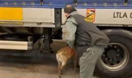 İstanbul'da 240 kilo uyuşturucu madde ele geçirildi: 4 gözaltı