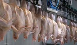 Bakanlıktan kanatlı eti ihracatının durdurulmasına ilişkin açıklama