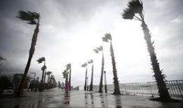 Antalya'da fırtına alarmı: 7 ilçede eğitime 1 gün ara