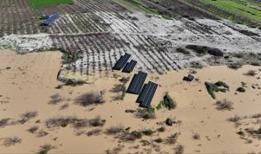 Mersin'deki Göksu Irmağı'nın artan debisi tarım alanlarına zarar verdi