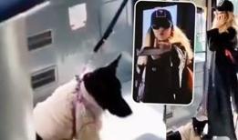 Köpek bahanesiyle başörtülü kadına nefret kusmuştu... Sahte savcıya tutuklama talebi