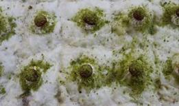 Ustasından Ramazan sofralarının vazgeçilmezi güllaç yapımının püf noktaları