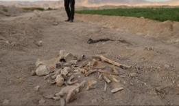 Baas rejiminden kalma bir toplu mezar daha: Ceset kalıntıları açığa çıktı