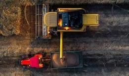 Hububat üretiminde bu yıl yüksek verim bekleniyor