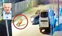 DEM'li Başkan'ın sarhoş oğlu işçiyi ezdi