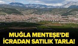Muğla Menteşe'de icradan satılık tarla!