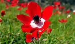 Havalar ne zaman ısınacak? Soğuk havalar ne zaman bitecek?