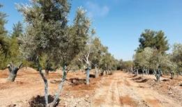 "Enerji kabusu"na karşı doğaya uyumlu madencilik