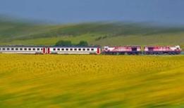 TCDD otla mücadele kapsamında tren yollarında ilaçlama yapacak