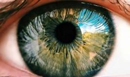 Göz bebeği boyutu ve zekanın doğrudan bağlantılı olduğu ortaya kondu