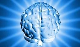 Unutkanlığa karşı 3 süper baharat önerisi! Bilimsel araştırmalarla öne çıktı