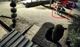 Eşini kucağındaki çocuğunun gözü önünde öldüren şahıs adliyeye sevk edildi