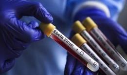Ebola salgını nedeniyle hayatını kaybedenlerin sayısı artıyor