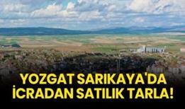Yozgat'ta icradan satılık tarla!