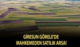 Giresun Görele'de mahkemeden satılık arsa!