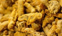 Kurkumin deposu! Vücuttaki iltihabın kökünü kurutuyor: Her gün bir kaşık tüketmek beyni yeniliyor