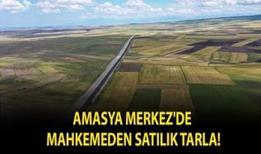 Amasya Merkez'de mahkemeden satılık tarla!