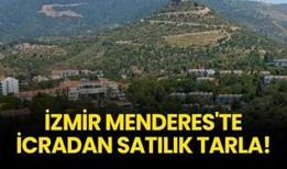 İzmir Menderes'te icradan satılık tarla!