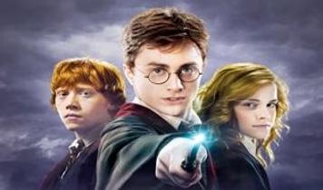Çöpteki harry potter 940 bin tl‘ye satıldı