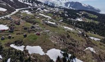 Sis Dağı Yaylası'ndaki çığ felaketinin boyutu karlar eridikçe ortaya çıktı
