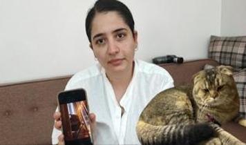 Adana'da kaybolan kedi için 15 bin TL ödül verilecek! Kadının duygusal anları...