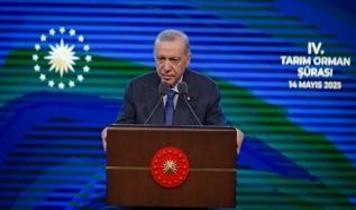 Cumhurbaşkanı Erdoğan: Bu yıl 321 tesisi hizmete alacağız, ormancılıkta tarihi başarılara imza attık