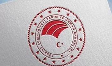 Tarım ve Orman Bakanlığı 8500 personel alımı başvuruları başladı mı? Başvuru şartları nelerdir?