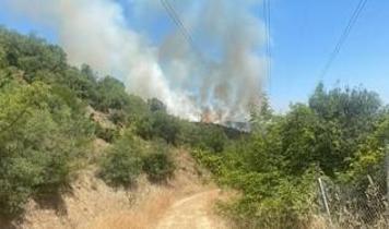Yenişehir ormanlık alanında çıkan yangın kontrol altında