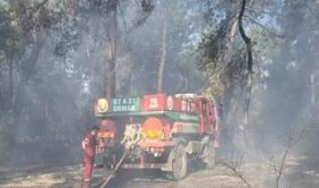 Antalya'da iki bölgede yangın çıktı