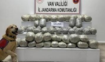 Van Başkale'de İran'dan katırla getirilen uyuşturucu kaçakçılığına Jandarma engeli