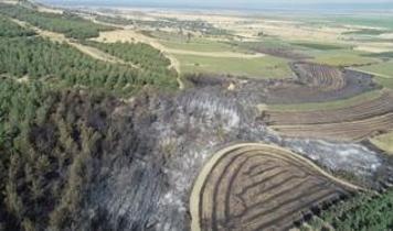 Tekirdağ'dan Çanakkale'ye sıçrayan orman yangınında zarar gören alanlar görüntülendi