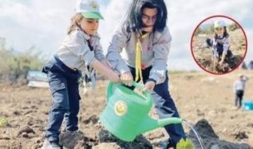 AK Parti'nin önergesiyle taşınan zeytinlik için iki kat fidan şartı
