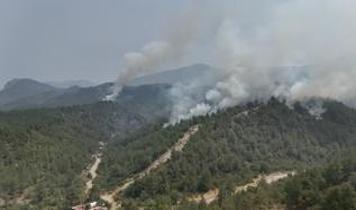 Sakarya, Bilecik ve Eskişehir'deki orman yangınlarına müdahale sürüyor