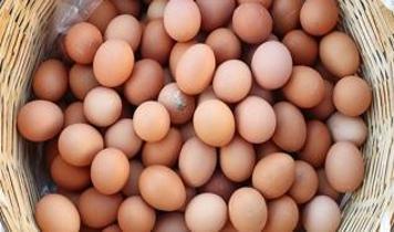 Sofralık yumurta ihracatında yeni düzenleme