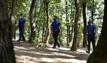 Ankara Valiliği'nden orman yangınlarına önlem: Ateşli piknik faaliyetleri yasaklandı