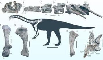 Şimdiye kadar keşfedilenlerin en eskisi... Çin'de yeni bir dinozor türüne ait fosil bulundu