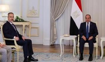 Dışişleri Bakanı Fidan, Sisi ile görüştü