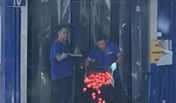Kasalarca domatesi çöpe atmışlardı! Ticaret Bakanlığı harekete geçti