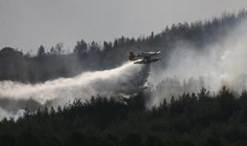 Çanakkale'de orman yangınlarının önüne geçmek için çeşitli kararlar alındı