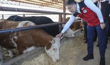 Tarım ve Orman Bakanı Yumaklı: Hayvan pazarları 81 ilimizde açılacak